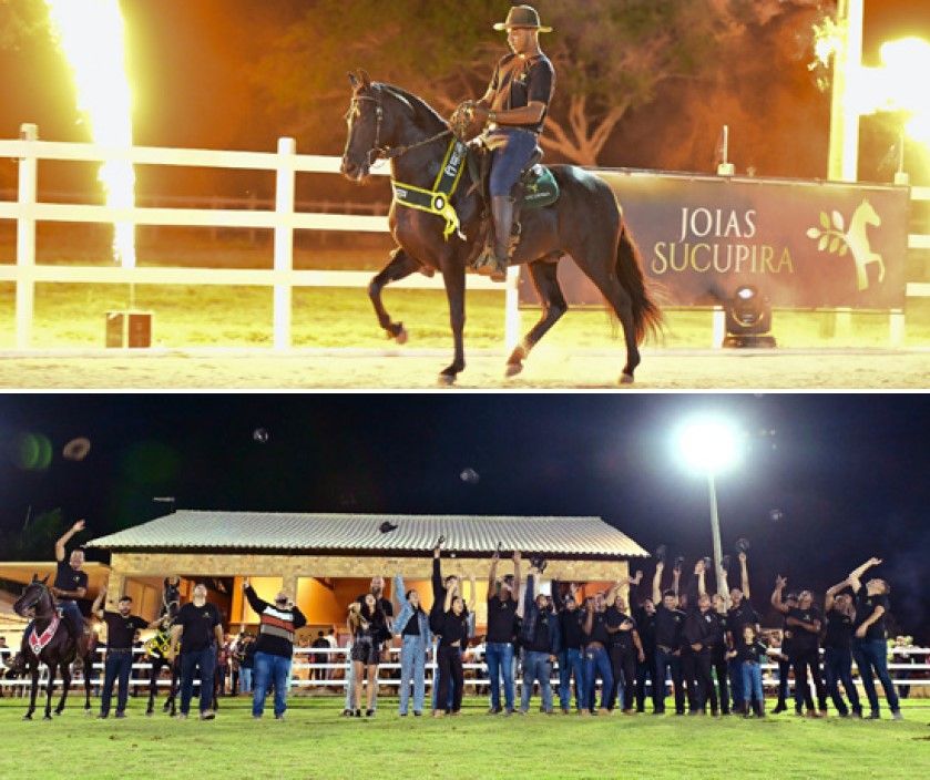 5ª LIVE DO HARAS SUCUPIRA NA BAHIA COM SUCESSO ABSOLUTO!